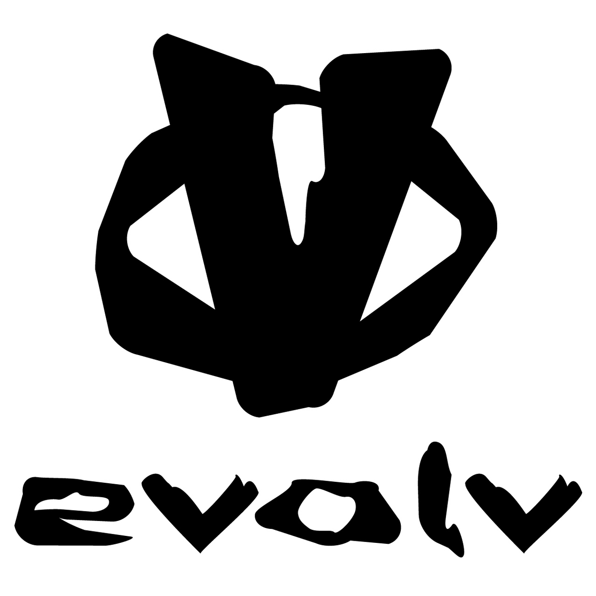 evolv_climbing_shoes_logo