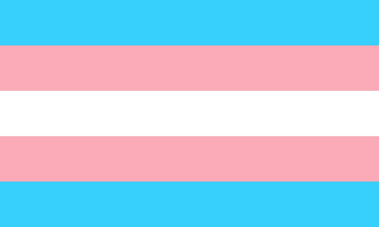 Trans-Flag